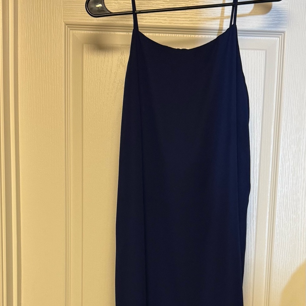 Naked Zebra Blue Spaghetti Strap Slip Dress